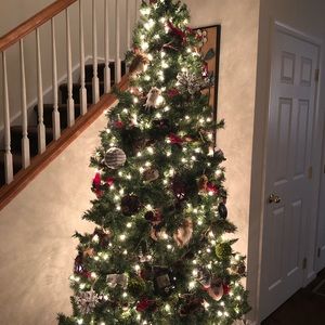 Meet your Posher, Fran